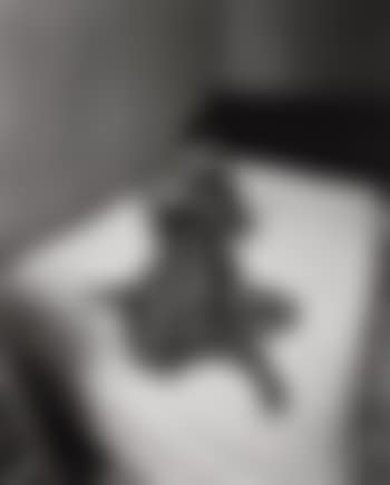 Untitled from East 100th Street (preview)