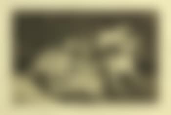 Sera lo mismo (It will be the same) (Pl. 21) (preview)
