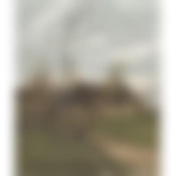 Peasant woman at dawn in front of the house (preview)