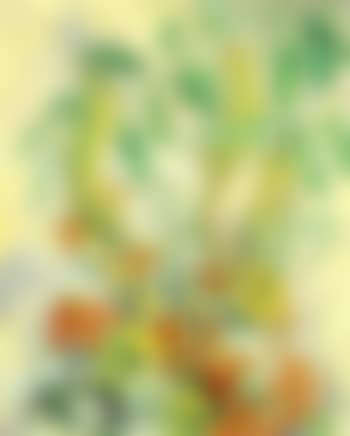 Daylilies (preview)