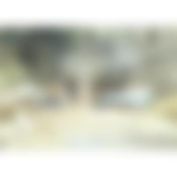 A woman seated on the shore (preview)