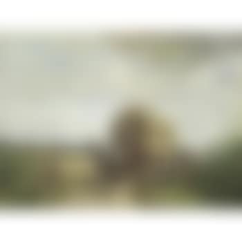The Hayfield (preview)