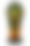 A vase decorated with fruit-bearing branches (preview)