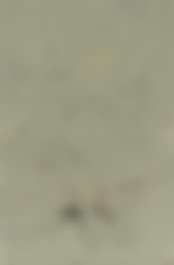 Study for Three Birds (preview)
