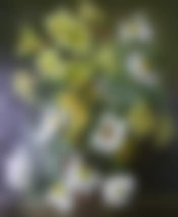 Lilies and other Flowers in a Terracotta Pot on a Ledge (preview)