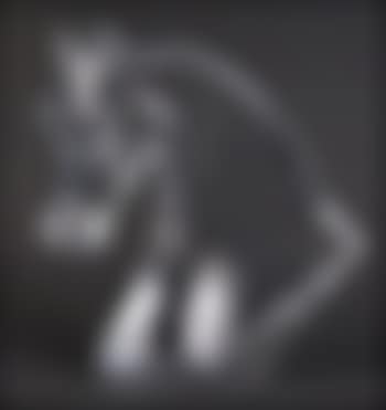 Tete de cheval (preview)