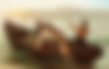 The lovers (preview)