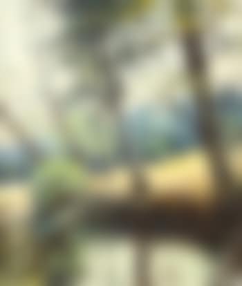 Le Noireau en été (preview)