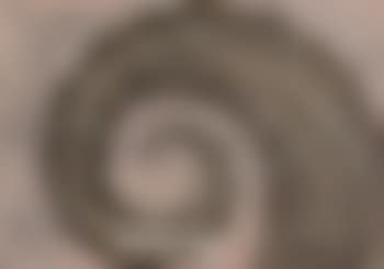 4 Arbeiten: Ohne Titel (preview)