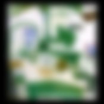 Portrait of a Matron in a Green Dress (preview)