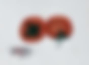 Prosperity Persimmon (preview)