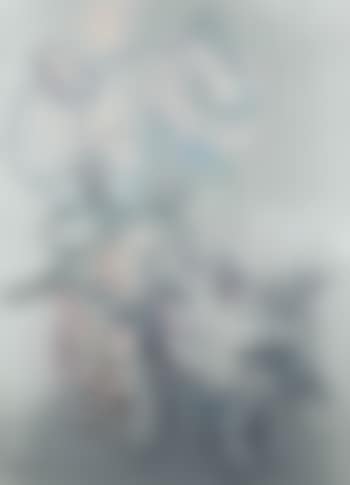 4SS (preview)