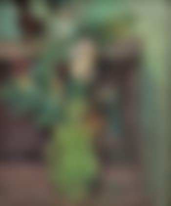Composition au bouquet (preview)