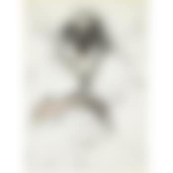 Asian woman, pregnant and grieving (W.C. 223) (preview)