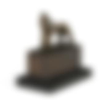 Small animal (preview)