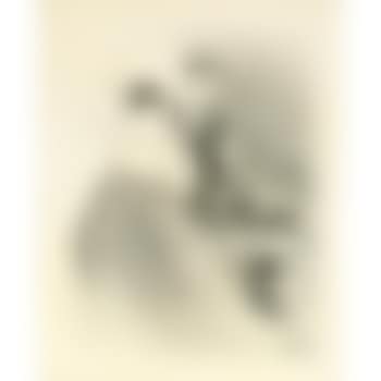 Ducarre aux ambassadeurs, Pl. 9, from le café concert (W. 26; D. 36; Adr. 33) (preview)