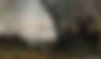 Skogsparti (preview)