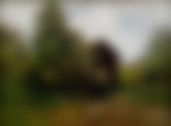 Landskap med vattenkvarn (preview)
