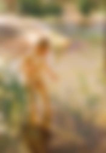 Reflexer (preview)