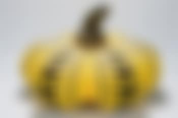 Dots obssesion (preview)