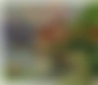 Summer landscape (preview)