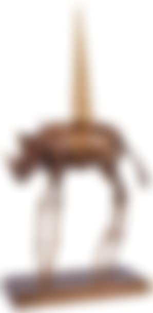 Rhinocéros Cosmique (preview)