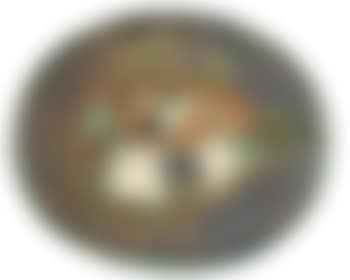 Mottled fish (preview)