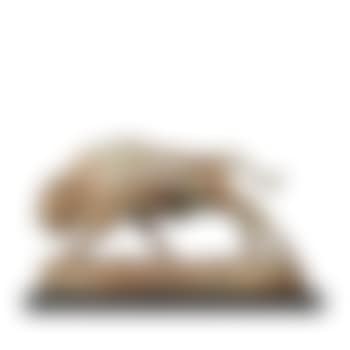 Buffalo (preview)