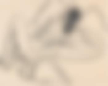 Liegender weiblicher Akt (preview)