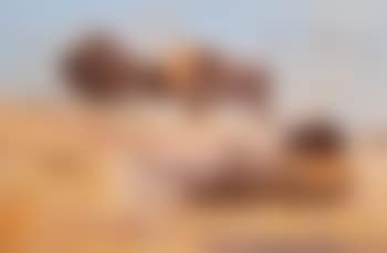 In Dakota Territory (preview)