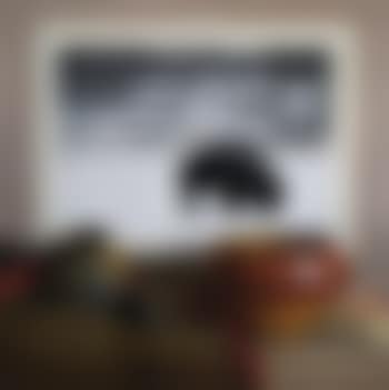 Taos Katonka (preview)