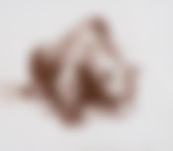 Bear (preview)