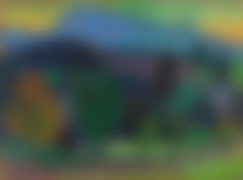 Der blaue Berg (preview)