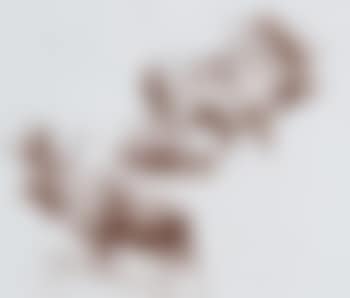 Moose (preview)