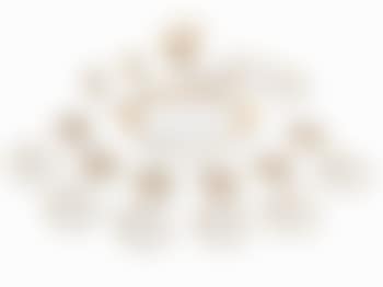 A splendid 22-piece Meissen Mocha coffee service (preview)