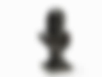 Bronze Bust (preview)
