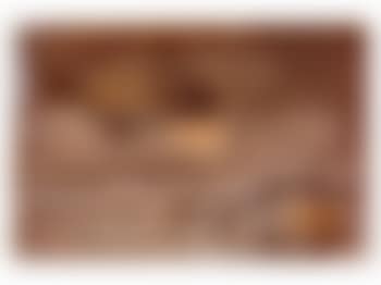 Steinhase (preview)