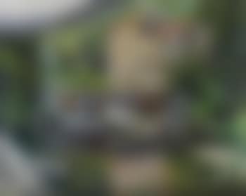 Paesaggio con fiume (preview)