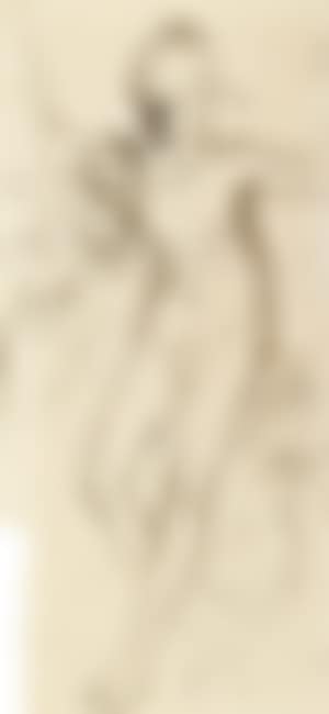 Stehender weiblicher Akt (preview)
