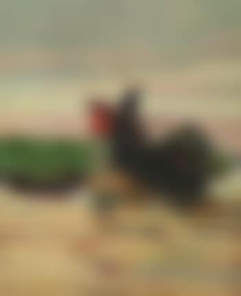Barcaiolo (preview)