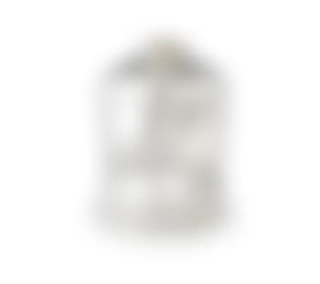 Vas (preview)