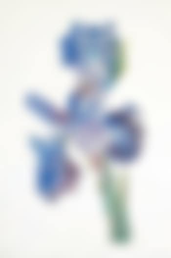 Iris (preview)