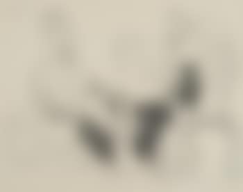 [Untitled] (preview)