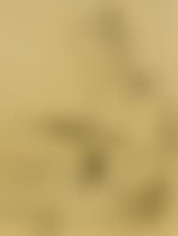 Woman Reading (preview)