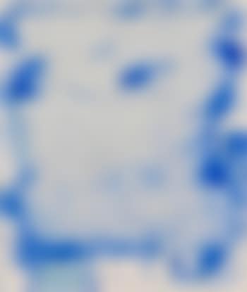 Untitled (SF60-1383) (preview)