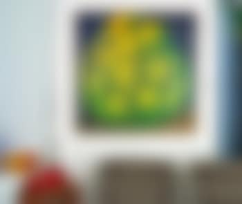 New Zealand oranges (preview)