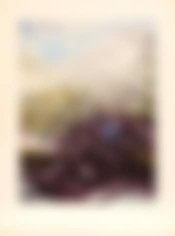Illuminations (preview)