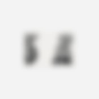 Crowds with shape of reason missing, example 3 (preview)
