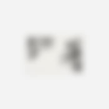 Crowds with shape of reason missing, example 5 (preview)