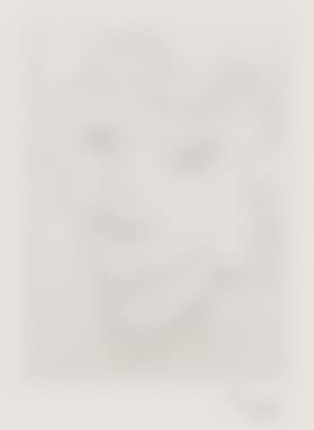 Visage Triangulaire (preview)